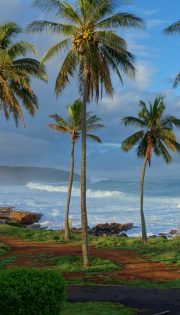 Reader Success Story: Honeymoon in Hawaii